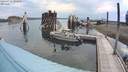./images/quadra/hbidock/20200731/hbidock20200731_094500M.jpg