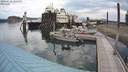 ./images/quadra/hbidock/20200731/hbidock20200731_104500M.jpg