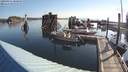 ./images/quadra/hbidock/20200801/hbidock20200801_080000M.jpg