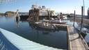./images/quadra/hbidock/20200801/hbidock20200801_084000M.jpg