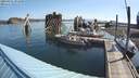 ./images/quadra/hbidock/20200801/hbidock20200801_091500M.jpg