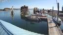 ./images/quadra/hbidock/20200801/hbidock20200801_092000M.jpg