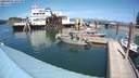 ./images/quadra/hbidock/20200801/hbidock20200801_144500M.jpg