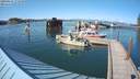 ./images/quadra/hbidock/20200801/hbidock20200801_171000M.jpg