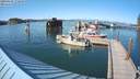 ./images/quadra/hbidock/20200801/hbidock20200801_172500M.jpg
