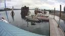 ./images/quadra/hbidock/20200802/hbidock20200802_092000M.jpg