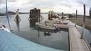 ./images/quadra/hbidock/20200802/hbidock20200802_095500M.jpg