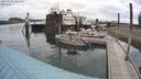 ./images/quadra/hbidock/20200802/hbidock20200802_104500M.jpg