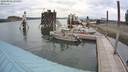 ./images/quadra/hbidock/20200802/hbidock20200802_111500M.jpg