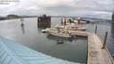 ./images/quadra/hbidock/20200802/hbidock20200802_175000M.jpg