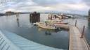 ./images/quadra/hbidock/20200802/hbidock20200802_195001M.jpg