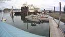 ./images/quadra/hbidock/20200803/hbidock20200803_110500M.jpg