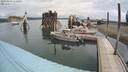 ./images/quadra/hbidock/20200803/hbidock20200803_112000M.jpg