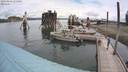 ./images/quadra/hbidock/20200803/hbidock20200803_115500M.jpg