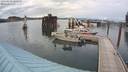 ./images/quadra/hbidock/20200803/hbidock20200803_162500M.jpg