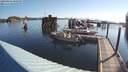 ./images/quadra/hbidock/20200804/hbidock20200804_080000M.jpg