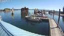 ./images/quadra/hbidock/20200804/hbidock20200804_093000M.jpg