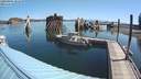 ./images/quadra/hbidock/20200804/hbidock20200804_101000M.jpg