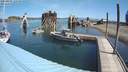 ./images/quadra/hbidock/20200804/hbidock20200804_115500M.jpg