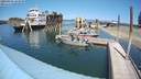 ./images/quadra/hbidock/20200804/hbidock20200804_143500M.jpg
