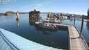 ./images/quadra/hbidock/20200805/hbidock20200805_095000M.jpg