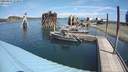 ./images/quadra/hbidock/20200805/hbidock20200805_123000M.jpg
