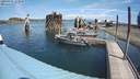 ./images/quadra/hbidock/20200805/hbidock20200805_123500M.jpg