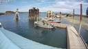 ./images/quadra/hbidock/20200805/hbidock20200805_143500M.jpg