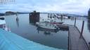 ./images/quadra/hbidock/20200806/hbidock20200806_062500M.jpg