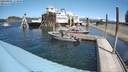 ./images/quadra/hbidock/20200806/hbidock20200806_133000M.jpg