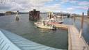 ./images/quadra/hbidock/20200806/hbidock20200806_171000M.jpg