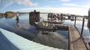 ./images/quadra/hbidock/20200808/hbidock20200808_075000M.jpg