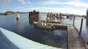 ./images/quadra/hbidock/20200808/hbidock20200808_082500M.jpg