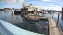 ./images/quadra/hbidock/20200808/hbidock20200808_085500M.jpg
