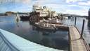 ./images/quadra/hbidock/20200808/hbidock20200808_091000M.jpg