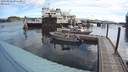 ./images/quadra/hbidock/20200808/hbidock20200808_091500M.jpg