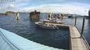 ./images/quadra/hbidock/20200808/hbidock20200808_102000M.jpg