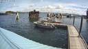 ./images/quadra/hbidock/20200808/hbidock20200808_104500M.jpg