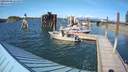 ./images/quadra/hbidock/20200808/hbidock20200808_163500M.jpg