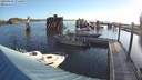 ./images/quadra/hbidock/20200809/hbidock20200809_074000M.jpg