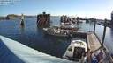 ./images/quadra/hbidock/20200809/hbidock20200809_075500M.jpg