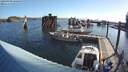 ./images/quadra/hbidock/20200809/hbidock20200809_080000M.jpg