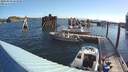 ./images/quadra/hbidock/20200809/hbidock20200809_083000M.jpg