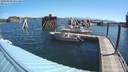 ./images/quadra/hbidock/20200809/hbidock20200809_095000M.jpg