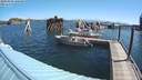 ./images/quadra/hbidock/20200809/hbidock20200809_100000M.jpg