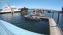 ./images/quadra/hbidock/20200809/hbidock20200809_104000M.jpg