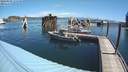 ./images/quadra/hbidock/20200809/hbidock20200809_111500M.jpg