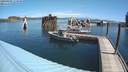 ./images/quadra/hbidock/20200809/hbidock20200809_113000M.jpg