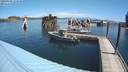 ./images/quadra/hbidock/20200809/hbidock20200809_113500M.jpg