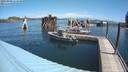 ./images/quadra/hbidock/20200809/hbidock20200809_114500M.jpg